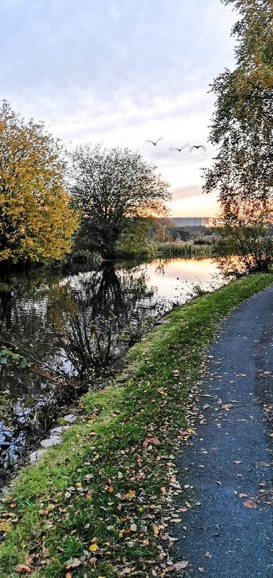 Preview of Rochdale Canal & Stanney Brook