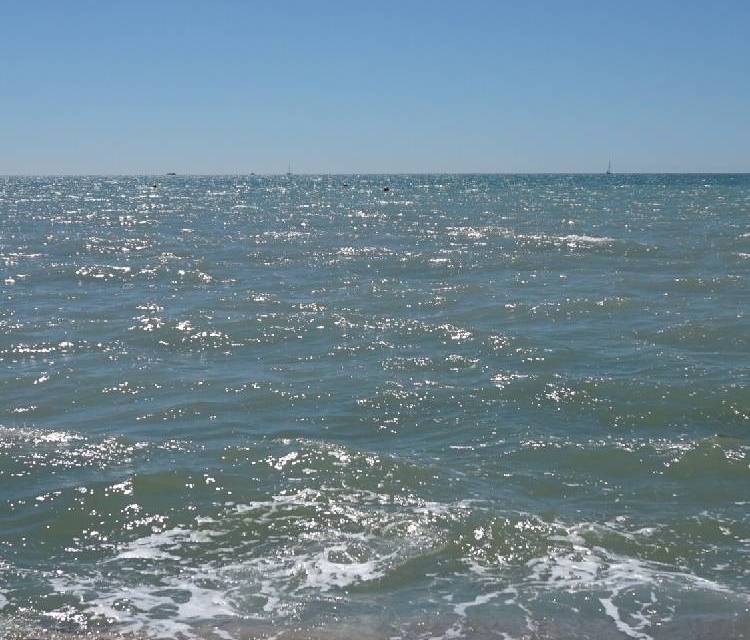 Preview of Summer day in Brighton