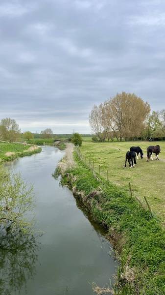 Preview of River Stour Circular