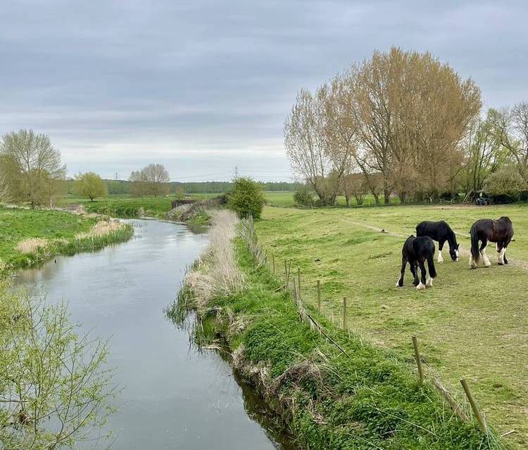 Preview of River Stour Circular