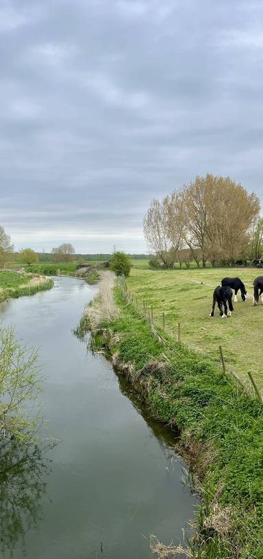 Preview of River Stour Circular