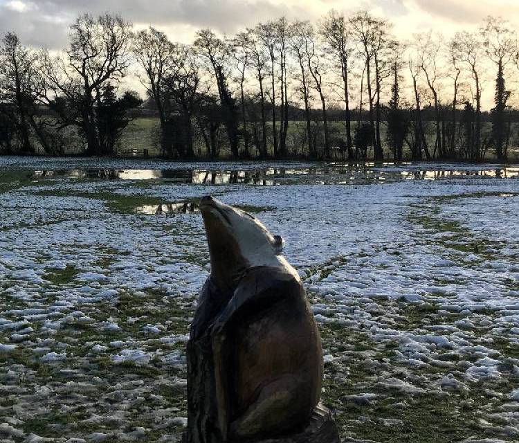 Preview of Baddesley Clinton Natural Trail