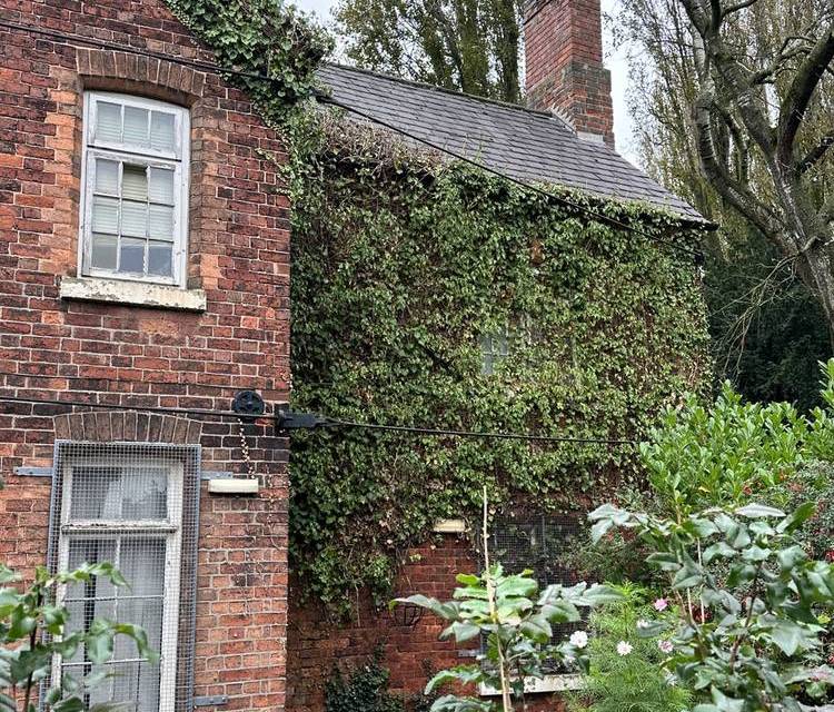 Preview of Brilliant Bilborough History Trail