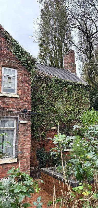 Preview of Brilliant Bilborough History Trail