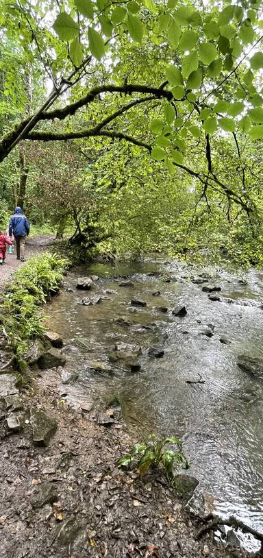 Preview of Pootle along Mells River