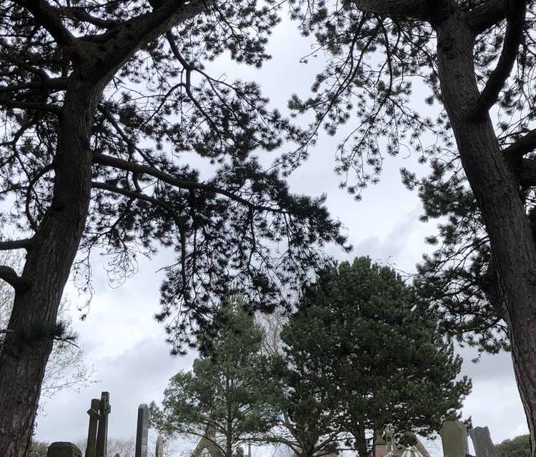Preview of Greenbank Cemetery Serenity
