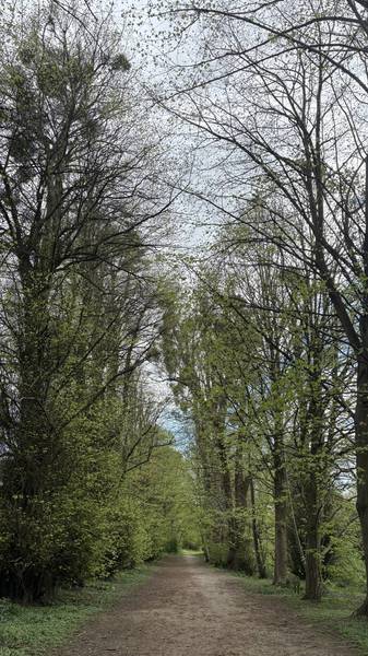 Preview of Vinters Valley Mindful Mile