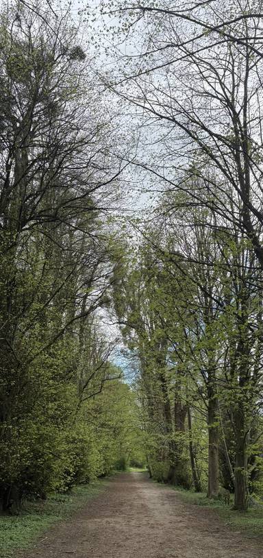 Preview of Vinters Valley Mindful Mile