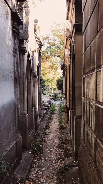 Preview of Wandering Père Lachaise cemetery 