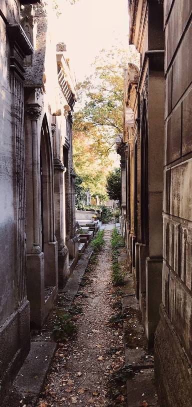 Preview of Wandering Père Lachaise cemetery