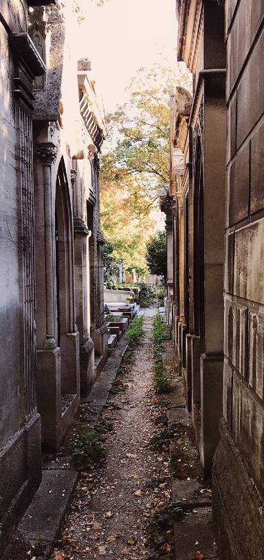 Preview of Wandering Père Lachaise cemetery 