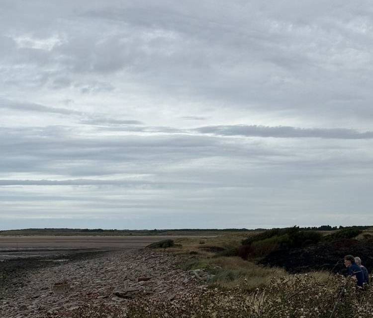 Preview of Hall Road - Hightown Seaside Trail