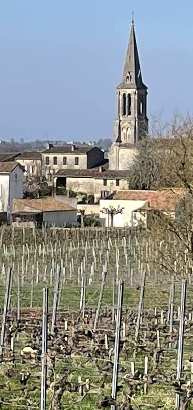 Preview of Spring near Saint Emilion, France
