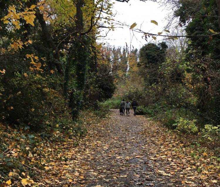 Preview of Off the beaten track in Beckenham
