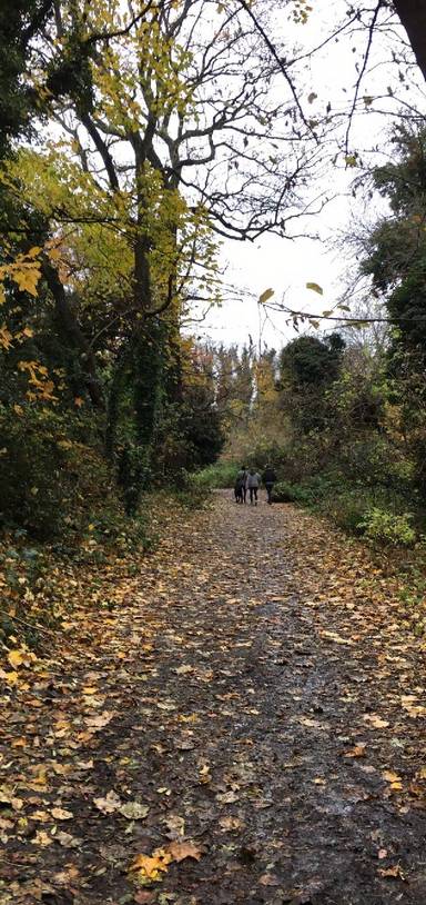 Preview of Off the beaten track in Beckenham