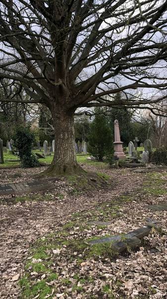 Preview of St James' Cemetery Little Loop