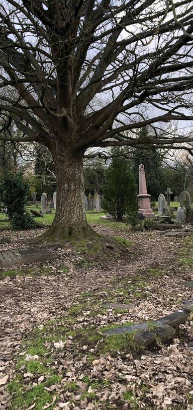 Preview of St James' Cemetery Little Loop