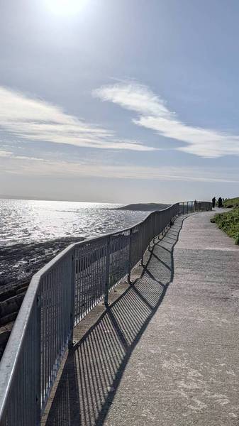 Preview of Barry in the Springtime