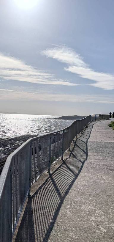 Preview of Barry in the Springtime