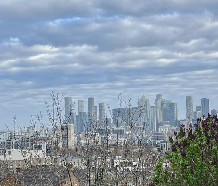 Preview of The Walking Cure Tour in Greenwich