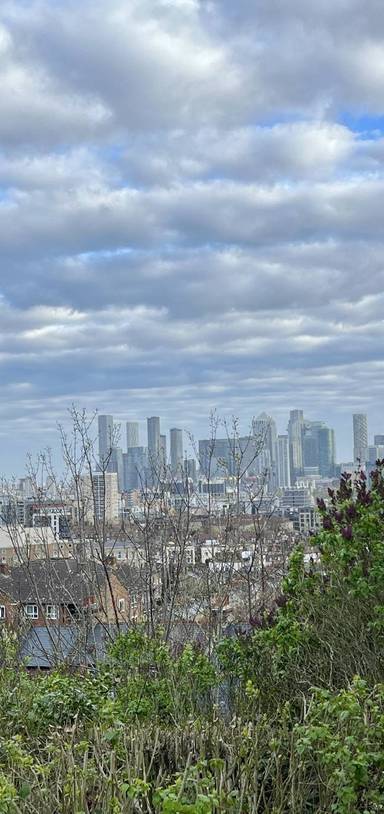 Preview of The Walking Cure Tour in Greenwich