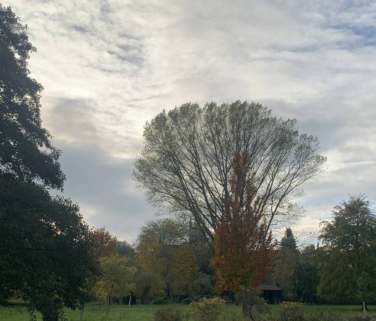 Preview of Short walk around Bungay