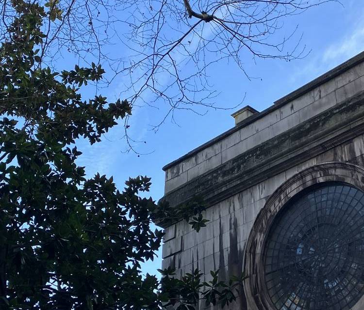 Preview of Nature in the City