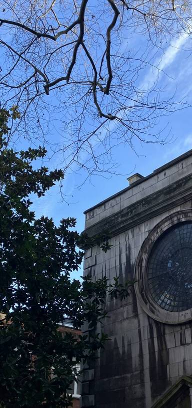 Preview of Nature in the City