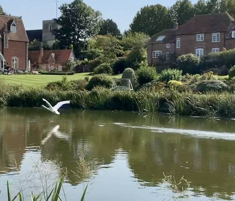 Preview of Hungerford to Kintbury canal walk