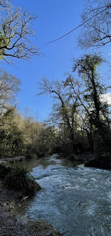 Preview of Egford Brook Amble