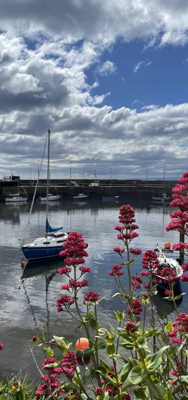 Preview of St Monans you beaut