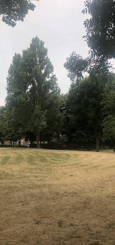 Preview of Heathbrook Park Cut-through