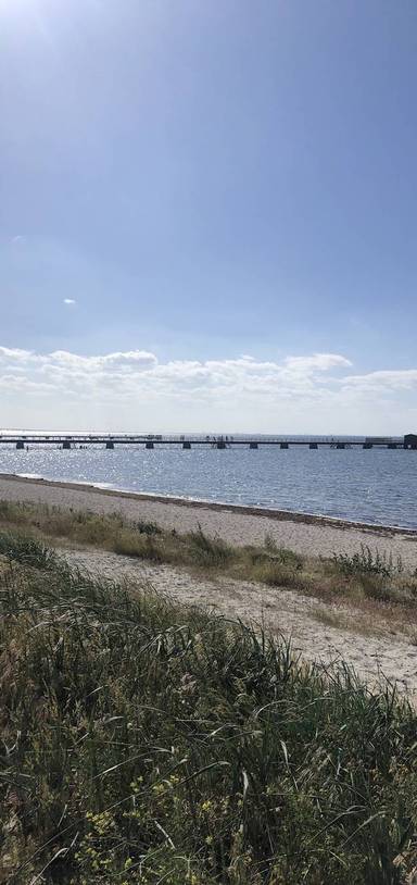 Preview of Ribersborg Beach Walk