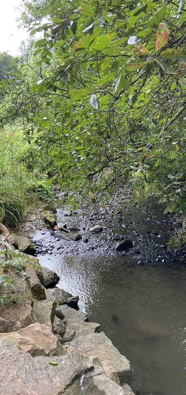 Preview of Twisted Oak & Alphin Brook Loop 