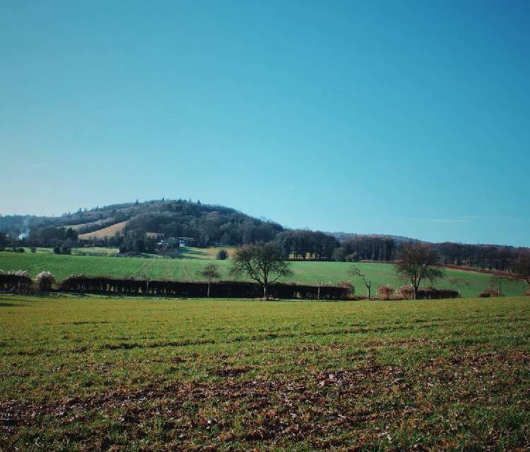 Preview of Lullingstone,To Ye Olde George Inn
