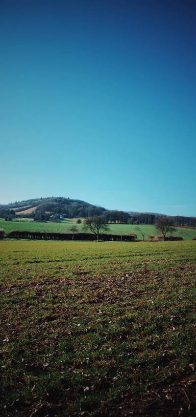 Preview of Lullingstone,To Ye Olde George Inn