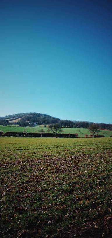 Preview of Lullingstone,To Ye Olde George Inn 