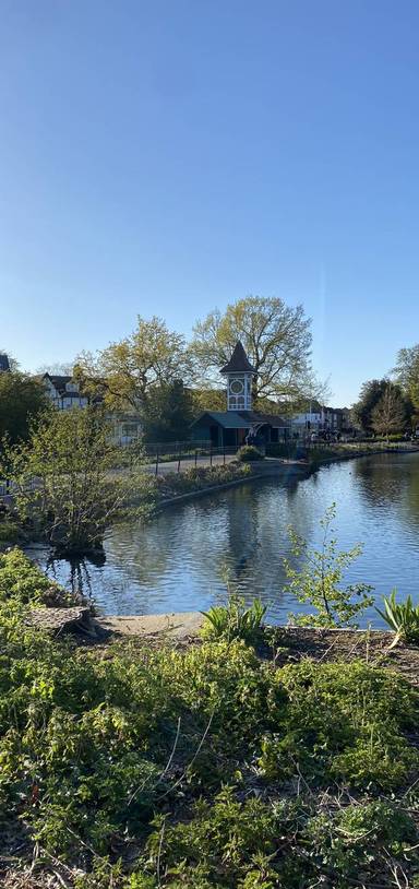 Preview of Valentines 'Itchycoo' Park