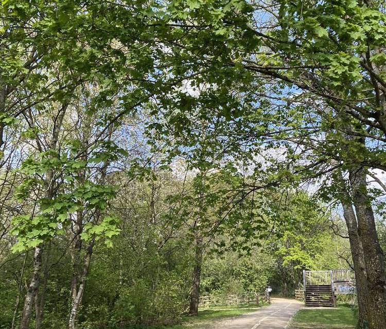 Preview of Exploring Banbury’s Spiceball Park