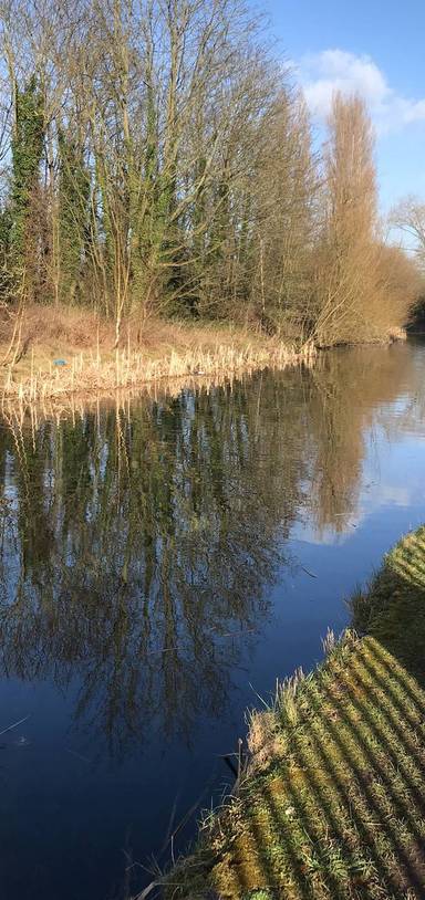 Preview of Canal walk and through rough wood 