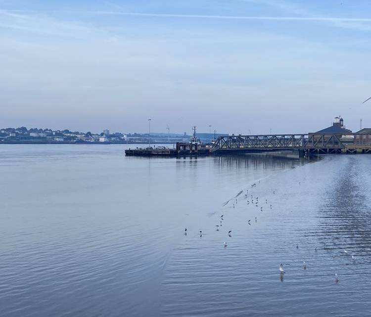 Preview of Thames Estuary Path Section 1