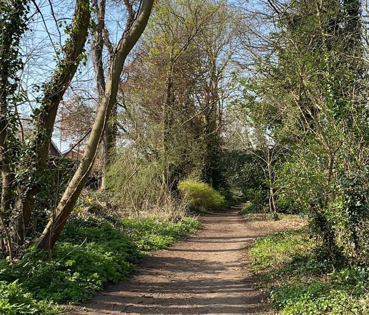 Preview of Merrymeade Country Park - Shenfield