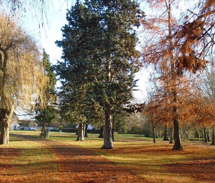Preview of Autumn stroll in Woodcock Park