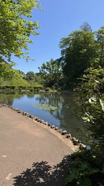 Preview of Cockington Country Park Lakes