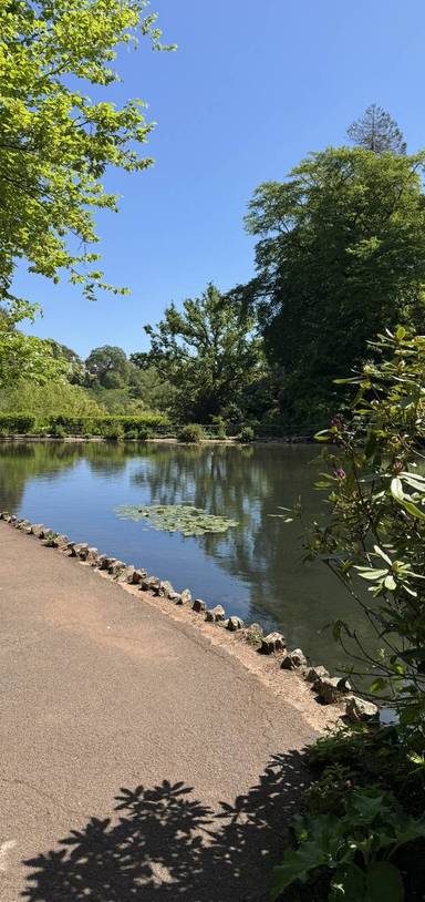 Preview of Cockington Country Park Lakes