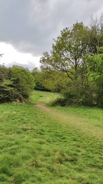 Preview of London Loop Section 18