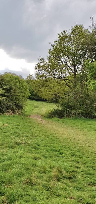 Preview of London Loop Section 18