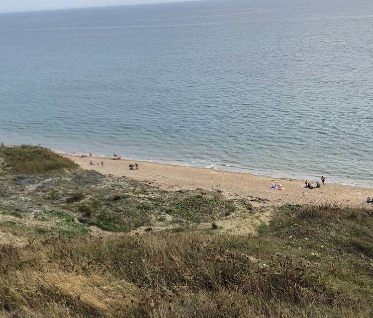Preview of Check-out Charmouth!