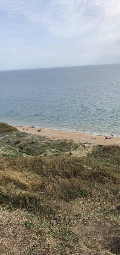 Preview of Check-out Charmouth!