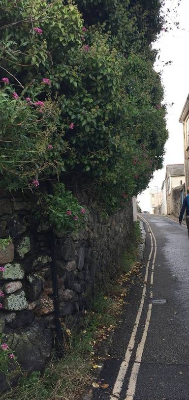 Preview of Arty idling around idyllic St Ives